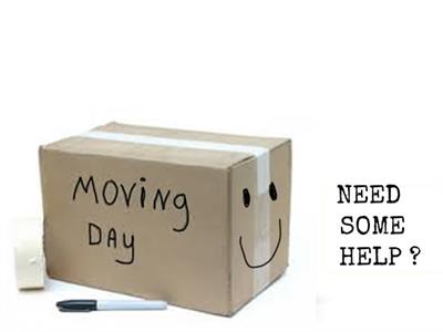 Man and Van or Removals Company Explained